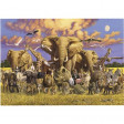PUZZLE 1000 PZ WILD LIFE - HIGH QUALITY COLLECTION cod. 31304