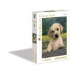 PUZZLE 1000 PZ CUTE PUPPY - HIGH QUALITY COLLECTION cod. 39070