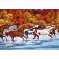 PUZZLE 1500 PZ SPASHES OF COLOURS - HIGH QUALITY COLLECTION cod. 31978