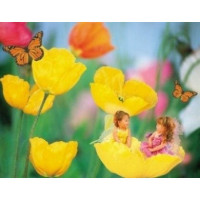PUZZLE 1000 PZ POPPY PLAYMATE - HIGH QUALITY COLLECTION cod. 30819