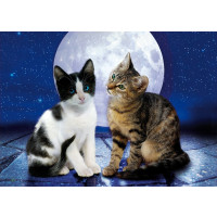 PUZZLE 1000 PZ CATS IN THE MOONLIGHT -  MY LITTLE FRIENDS cod. 39086
