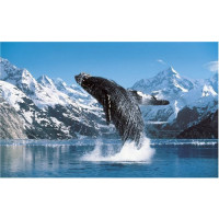 PROMO* PUZZLE 1000 PZB WHALE - HIGH QUALITY COLLECTION cod. 31486