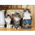 PUZZLE 1500 PZ NORWEGIAN CATS - HIGH QUALITY COOLLECTION cod.  31989